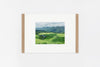Nara IMAGE 4