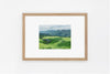 Nara IMAGE 2