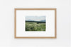 Kumamoto IMAGE 2
