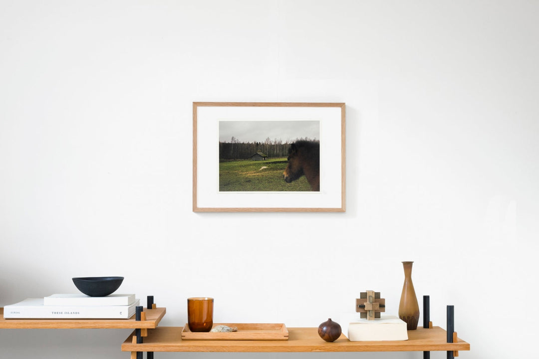 Somewhere in Finland IMAGE 5