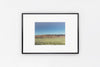Arizona IMAGE 3