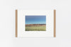 Arizona IMAGE 4