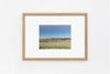 Arizona IMAGE 2