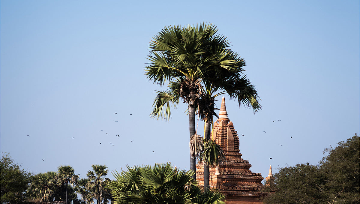 Kaoru Yamada 個展開催のお知らせ