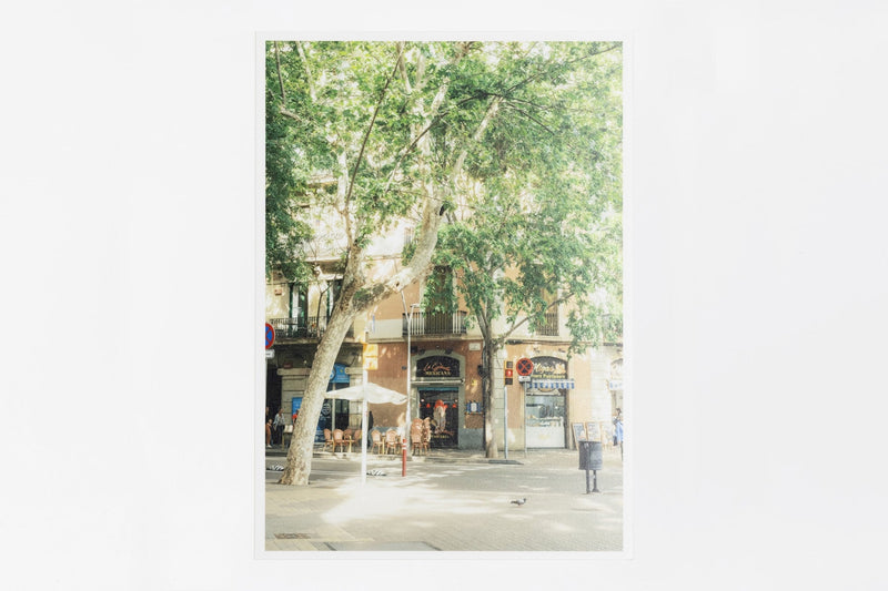 Sant Antoni