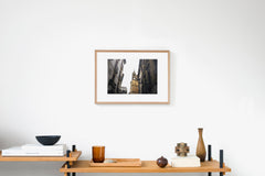 San Sebastián IMAGE 4