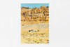 Arizona IMAGE 1