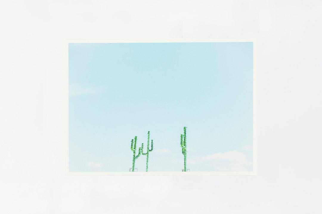 Arizona IMAGE 1