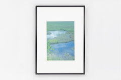 Yashimagahara wetland IMAGE 3