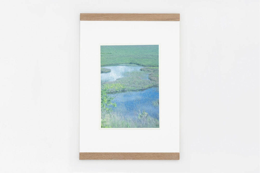 Yashimagahara wetland IMAGE 4