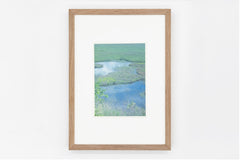 Yashimagahara wetland IMAGE 2