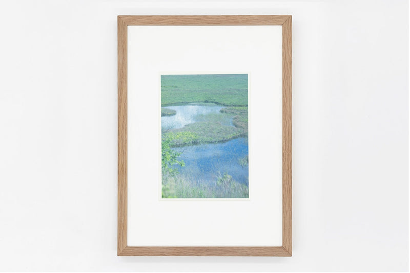 Yashimagahara wetland