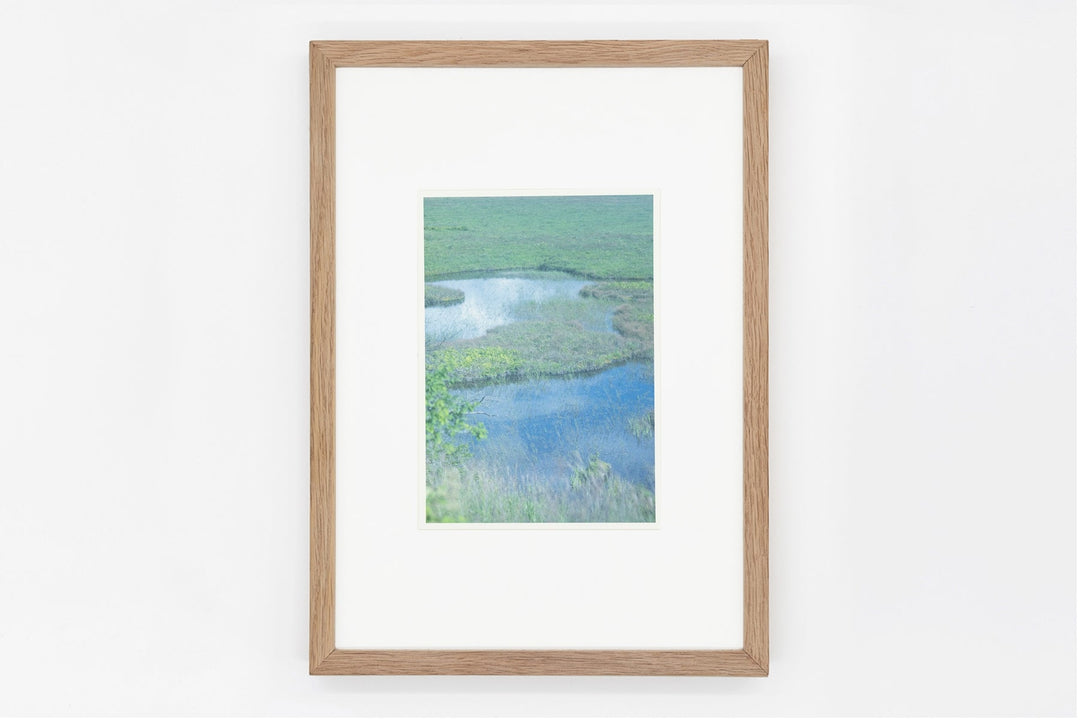 Yashimagahara wetland IMAGE 2