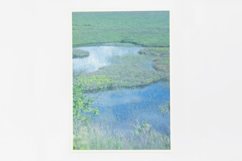 Yashimagahara wetland