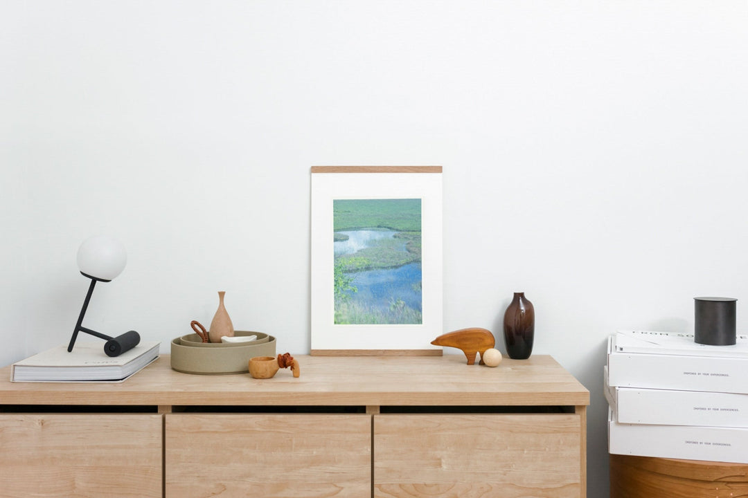 Yashimagahara wetland IMAGE 7