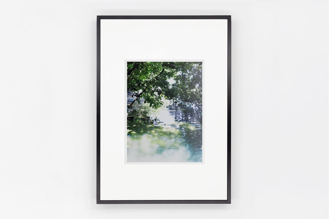 Fitzroy Island IMAGE 3