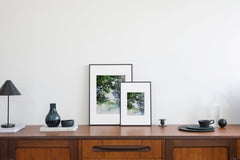 Fitzroy Island IMAGE 8