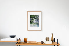 Fitzroy Island IMAGE 5