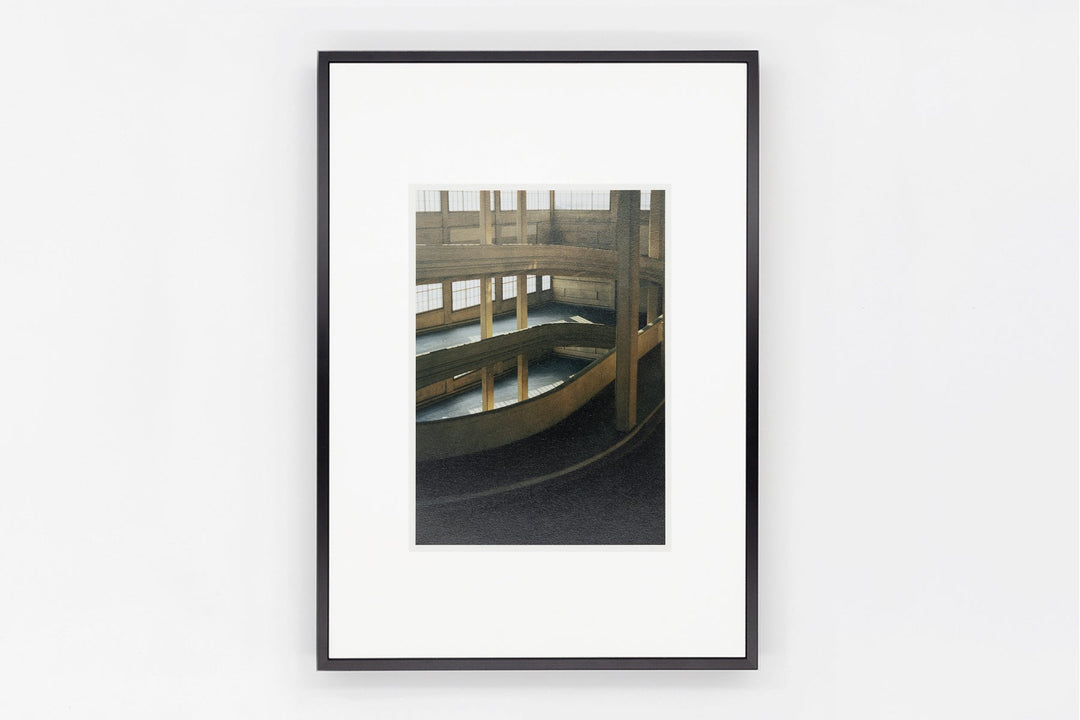 Trino IMAGE 3