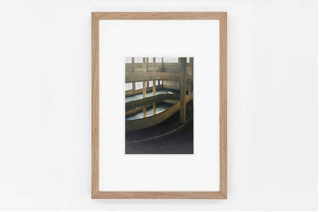 Trino IMAGE 2
