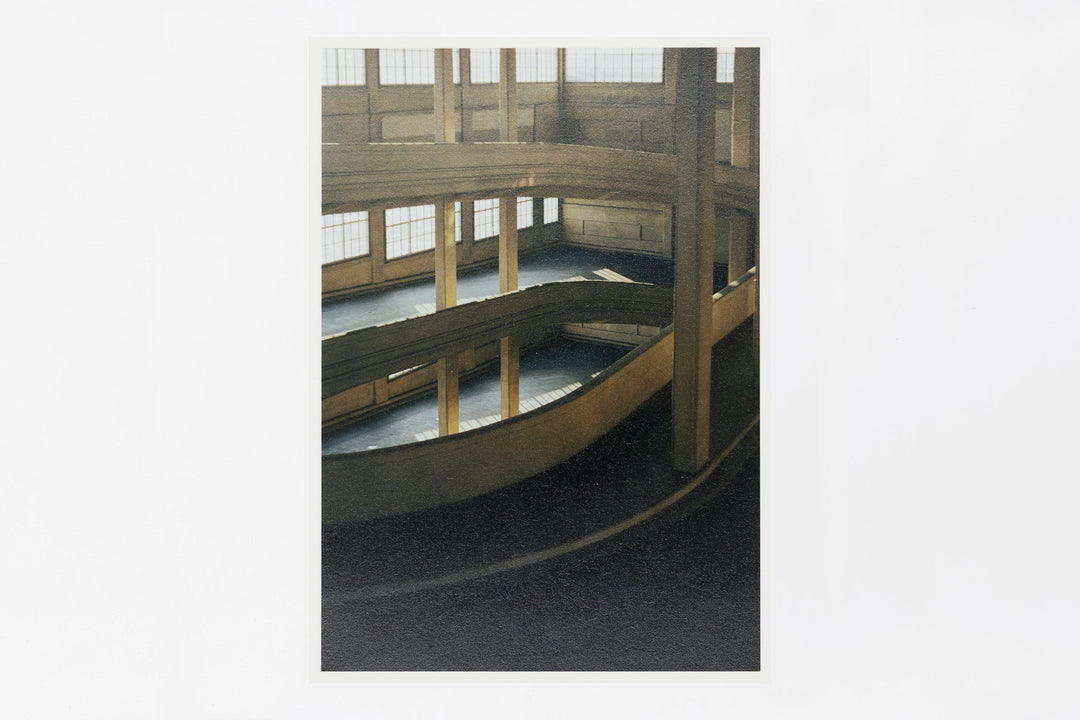 Trino IMAGE 1