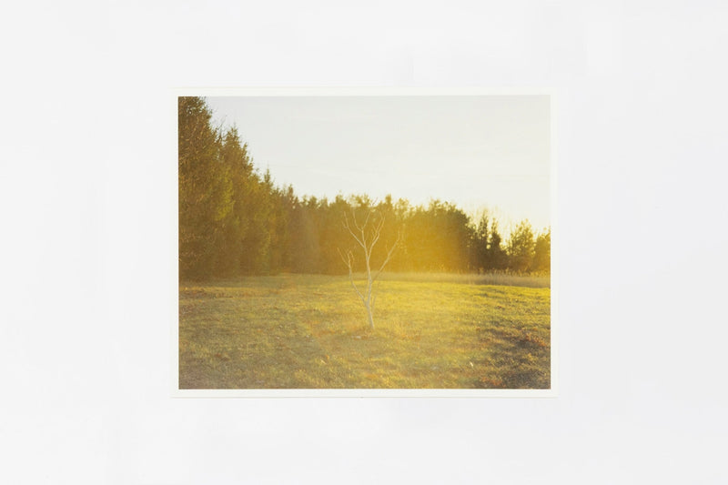 Somewhere in Poland