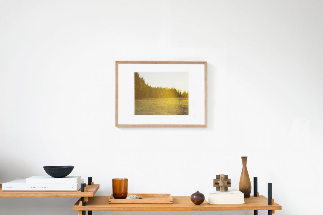 Somewhere in Poland IMAGE 5