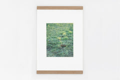 Somewhere in Poland IMAGE 4