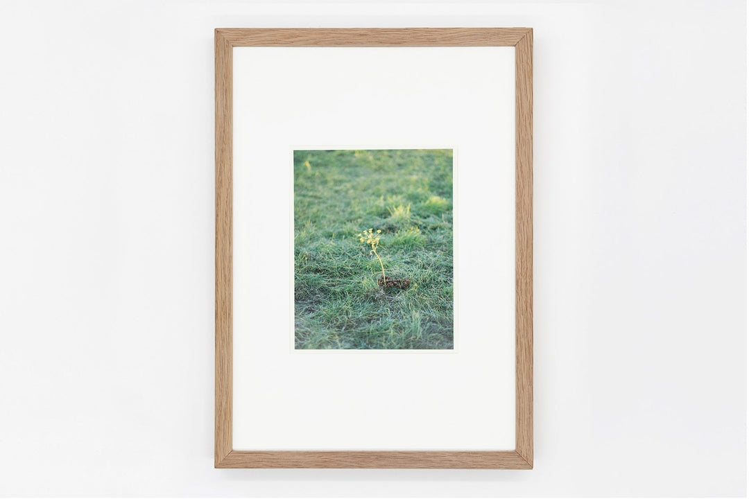 Somewhere in Poland IMAGE 2