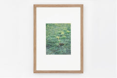 Somewhere in Poland IMAGE 2