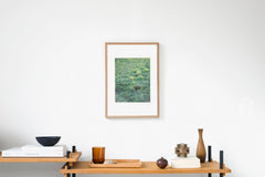 Somewhere in Poland IMAGE 5