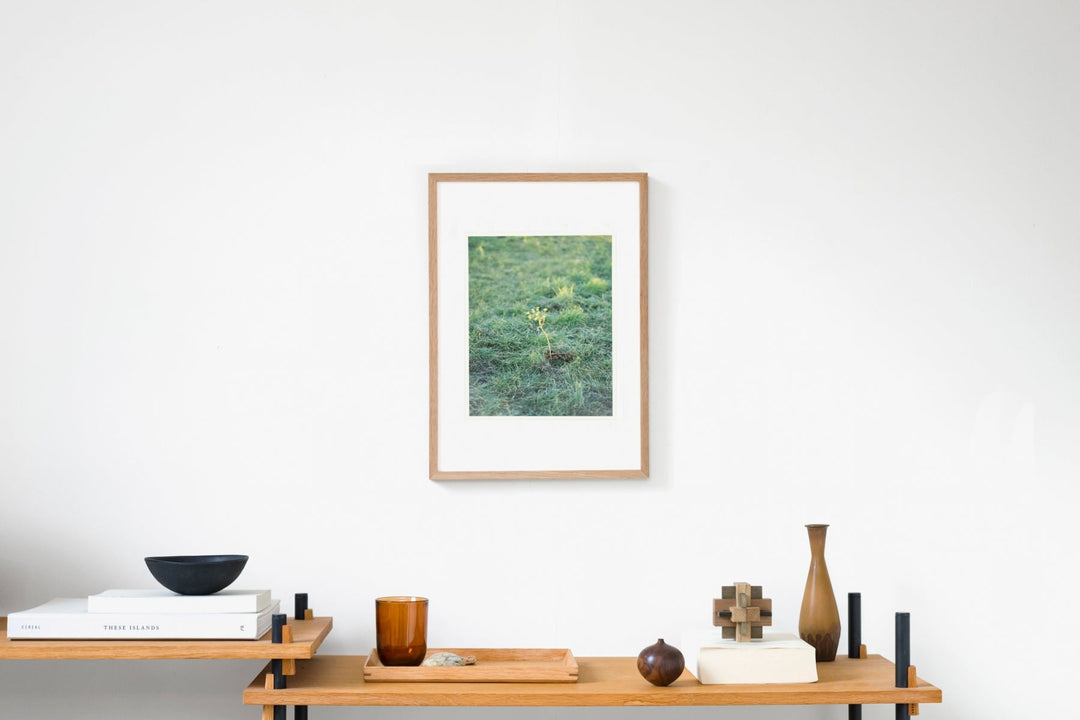 Somewhere in Poland IMAGE 5