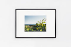 Rishiri Island IMAGE 3