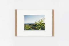 Rishiri Island IMAGE 4