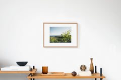 Rishiri Island IMAGE 5