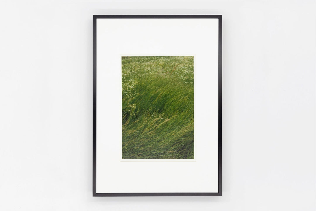 Leicestershire IMAGE 3