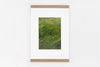 Leicestershire IMAGE 4