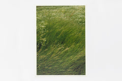 Leicestershire IMAGE 1