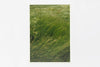 Leicestershire IMAGE 1