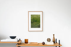 Leicestershire IMAGE 5