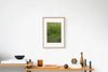 Leicestershire IMAGE 5