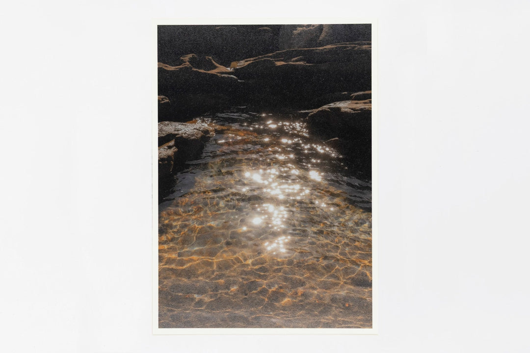 Sydney IMAGE 1