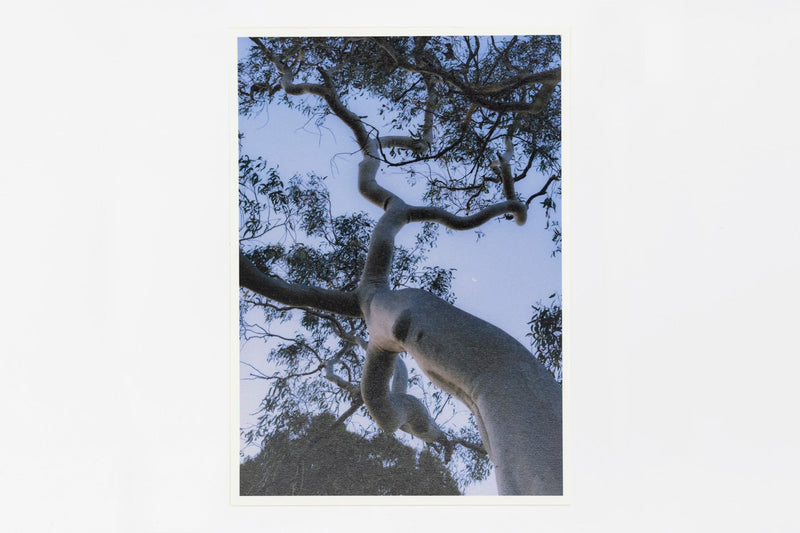 Sydney