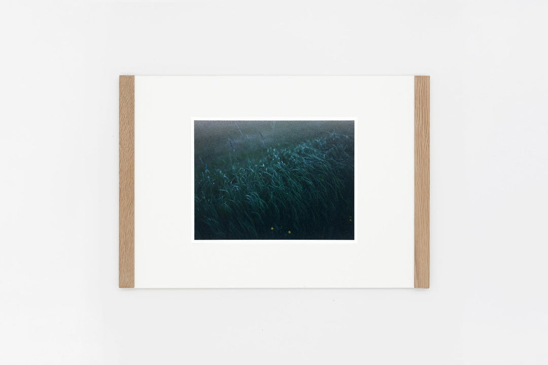 Southern Iceland IMAGE 4