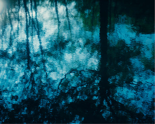 National Park Poster Trip