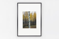 Somewhere in Finland IMAGE 3