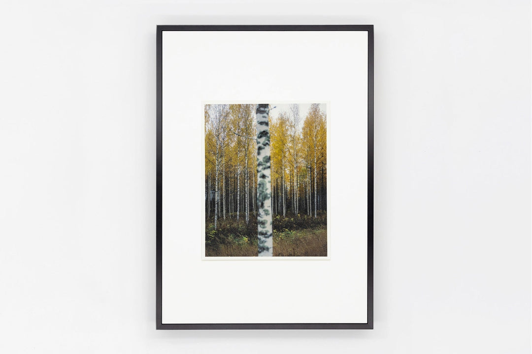 Somewhere in Finland IMAGE 3