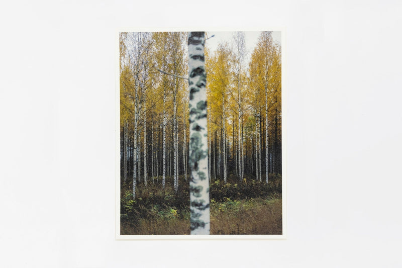 Somewhere in Finland