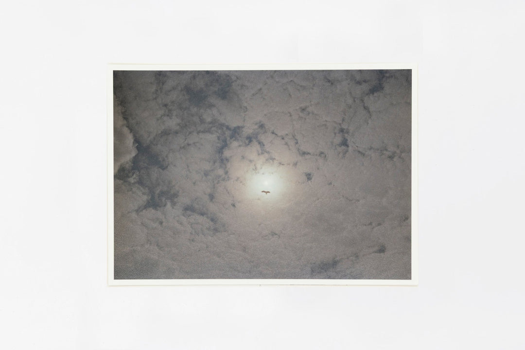 Goto IMAGE 1