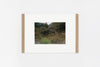 Goto IMAGE 4